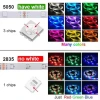 مصابيح ويفي بلوتوث الدايود المبتعث للضوء 2835/5050 مصباح LucSELD DC12V RGB المرنة Item Picture